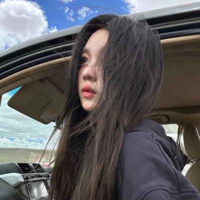 两只老虎
